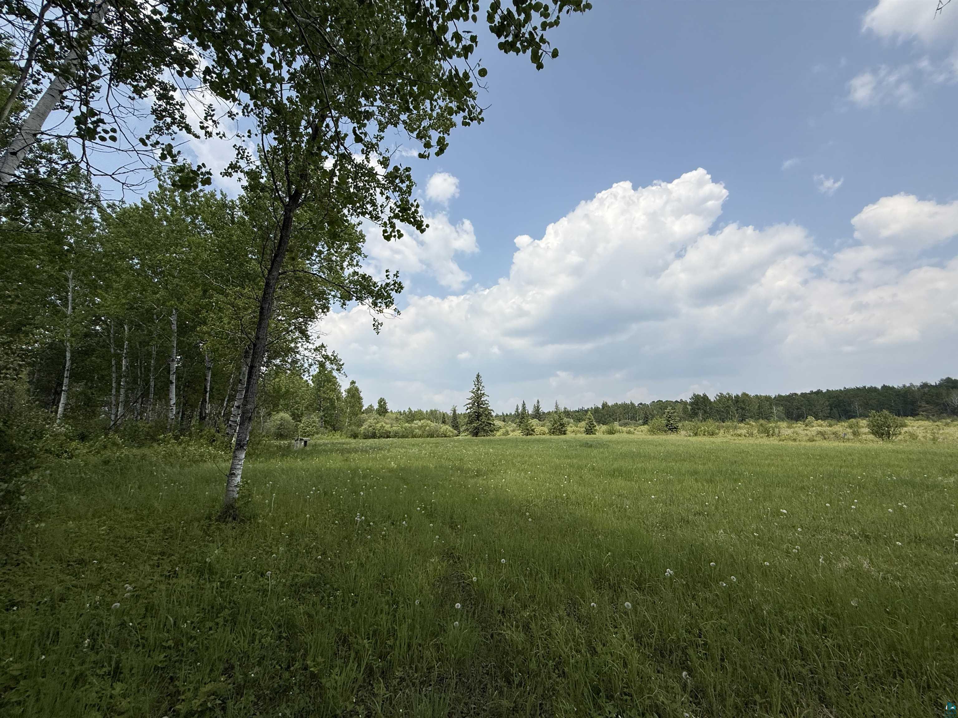 Tbd Samuelson Road Angora, MN 55703 - Photo 39 of 43 View of undeveloped land
