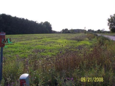 2205 Wales Center Road Goodells, MI 48027 - Photo 6 of 8 877170-5.JPG