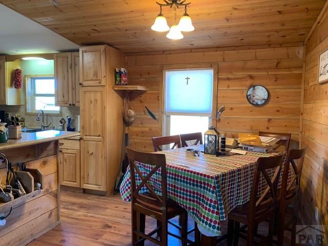 4575 Doe Valley Road Guffey, CO 80820 - Photo 3 of 47