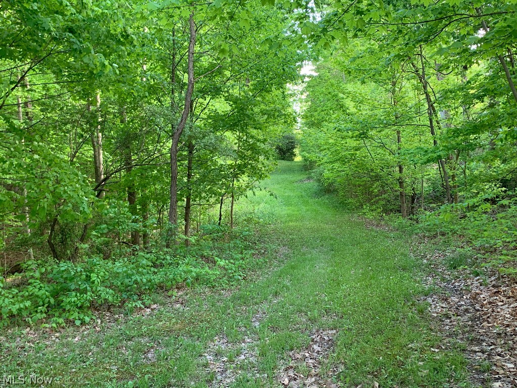 3832 Sharon Copley Road Medina, OH 44256 - Photo 49 of 49