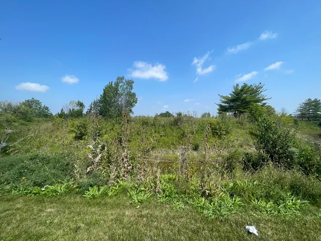 $99,000 | 19099 Hickory Creek Drive, Mokena, IL 60448