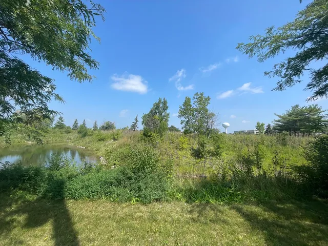 $99,000 | 19099 Hickory Creek Drive, Mokena, IL 60448