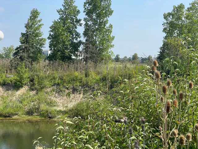 $99,000 | 19099 Hickory Creek Drive, Mokena, IL 60448