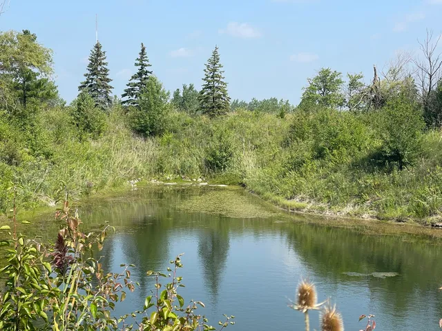 $99,000 | 19099 Hickory Creek Drive, Mokena, IL 60448