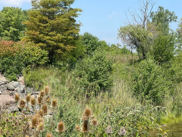 $99,000 | 19099 Hickory Creek Drive, Mokena, IL 60448