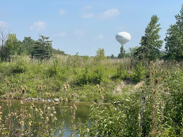 $99,000 | 19099 Hickory Creek Drive, Mokena, IL 60448