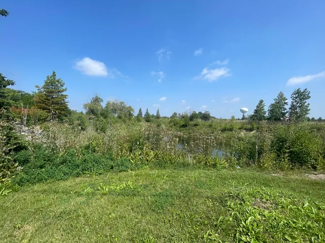 $99,000 | 19099 Hickory Creek Drive, Mokena, IL 60448