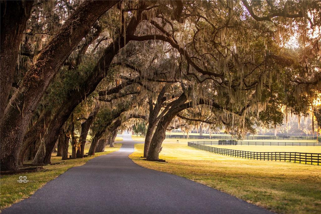 6800 Northwest 193rd Street, Unit OPTION 1 Reddick, FL 32686 - Photo 13 of 32 a view of swimming pool with an outdoor space and seating area