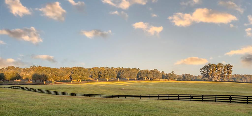 6800 Northwest 193rd Street, Unit OPTION 1 Reddick, FL 32686 - Photo 14 of 32 a view of an ocean and beach