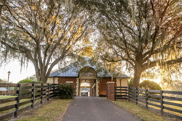 an outdoor view of garden