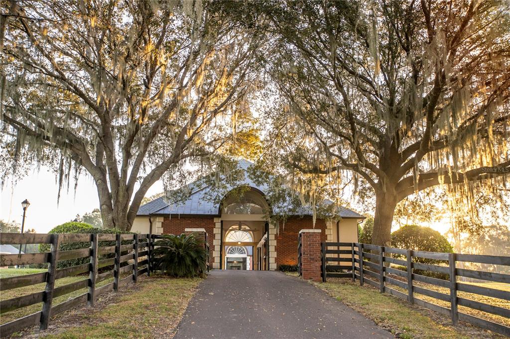 6800 Northwest 193rd Street, Unit OPTION 1 Reddick, FL 32686 - Photo 15 of 32 an outdoor view of garden