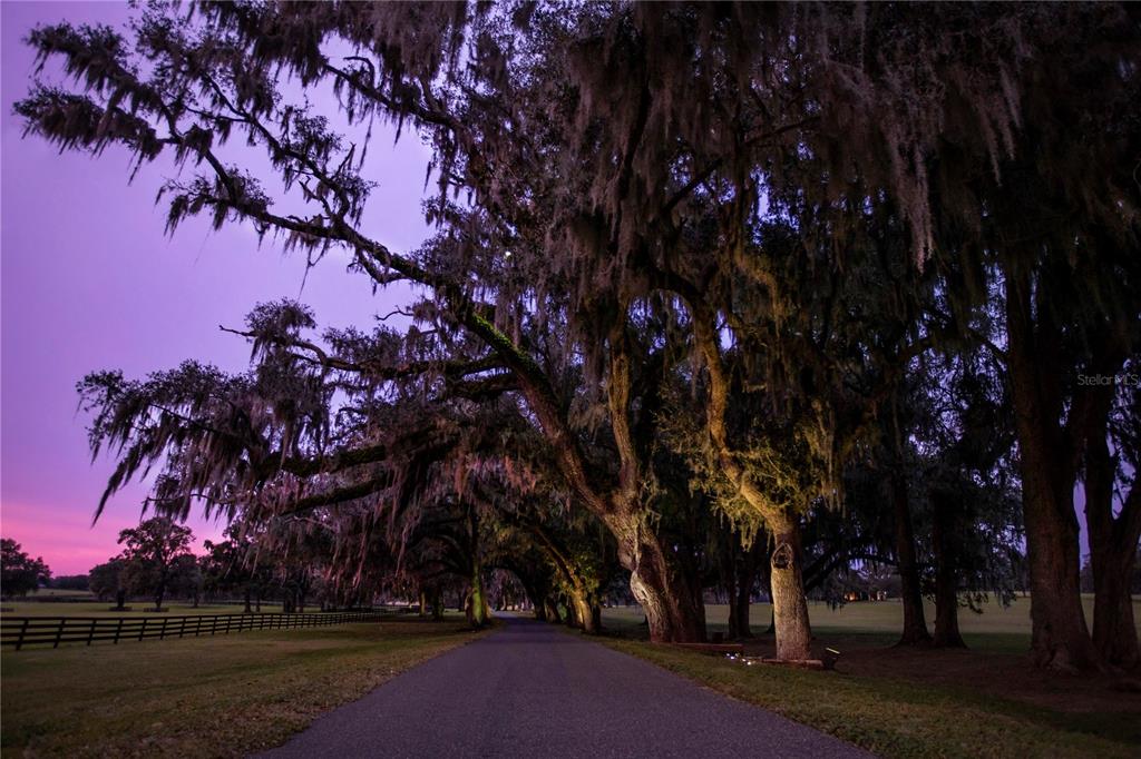 6800 Northwest 193rd Street, Unit OPTION 1 Reddick, FL 32686 - Photo 18 of 32 a view of outdoor space with city view
