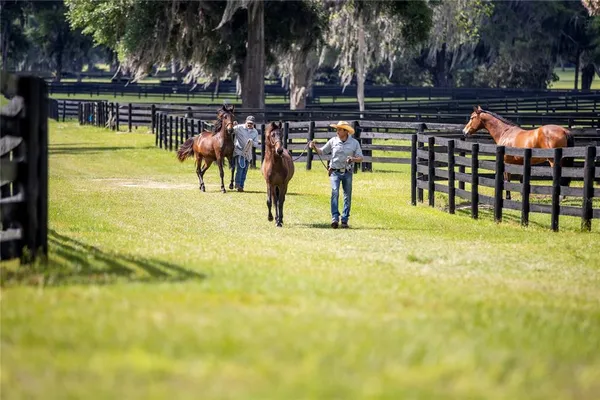 a view of swimming pool with a table and chairs