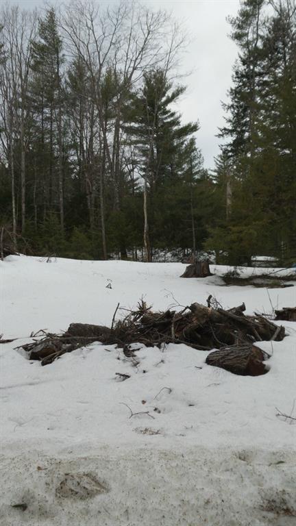 24 Loop Road Acton, ME 04001 - Photo 2 of 8 Photo