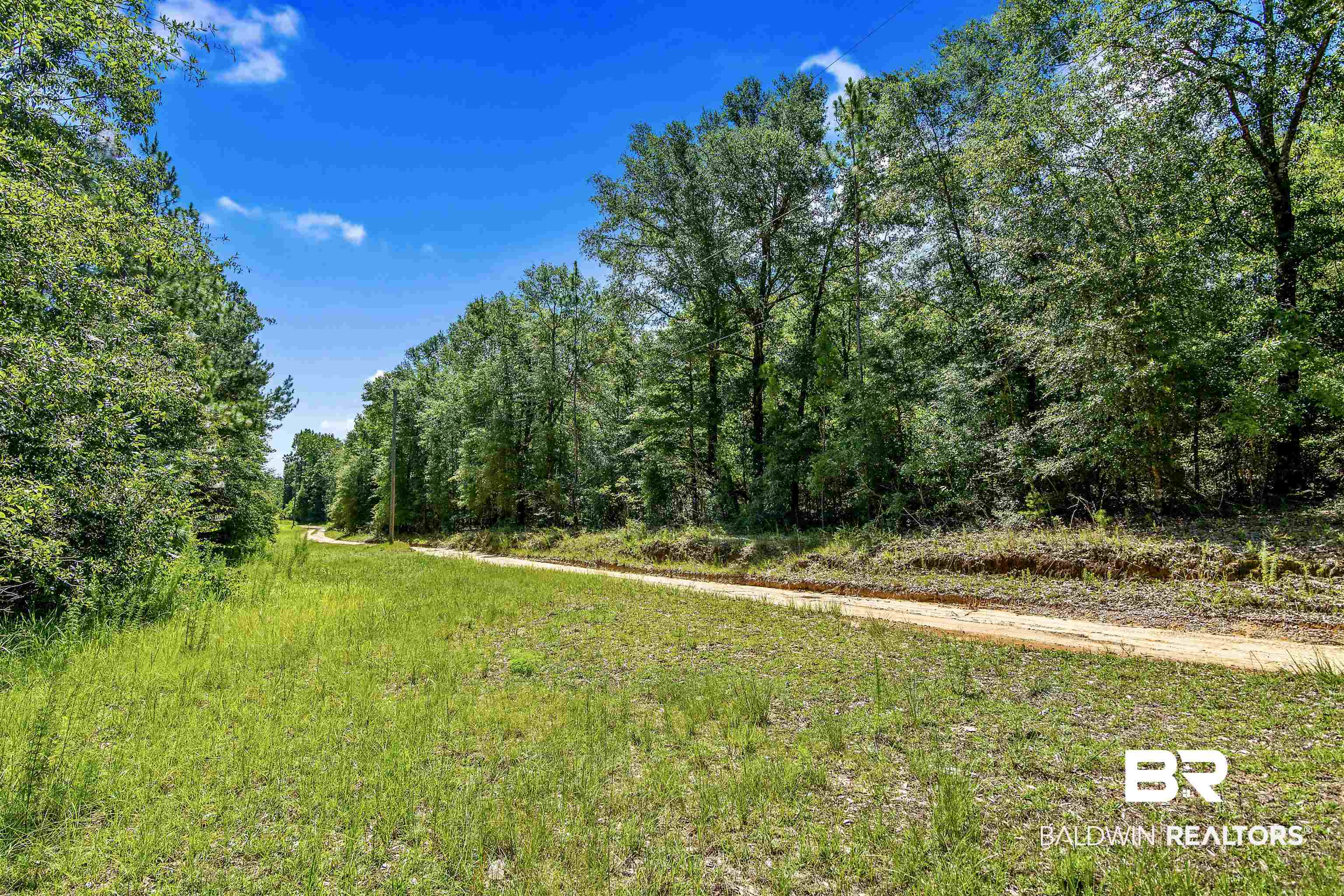 0 Gulfcrest Road Chunchula, AL 36521 - Photo 5 of 5