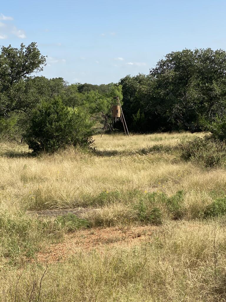 5 Jack Rabbit Road, Unit 5 Doss, TX 78618 - Photo 10 of 11 Gallery Image 10