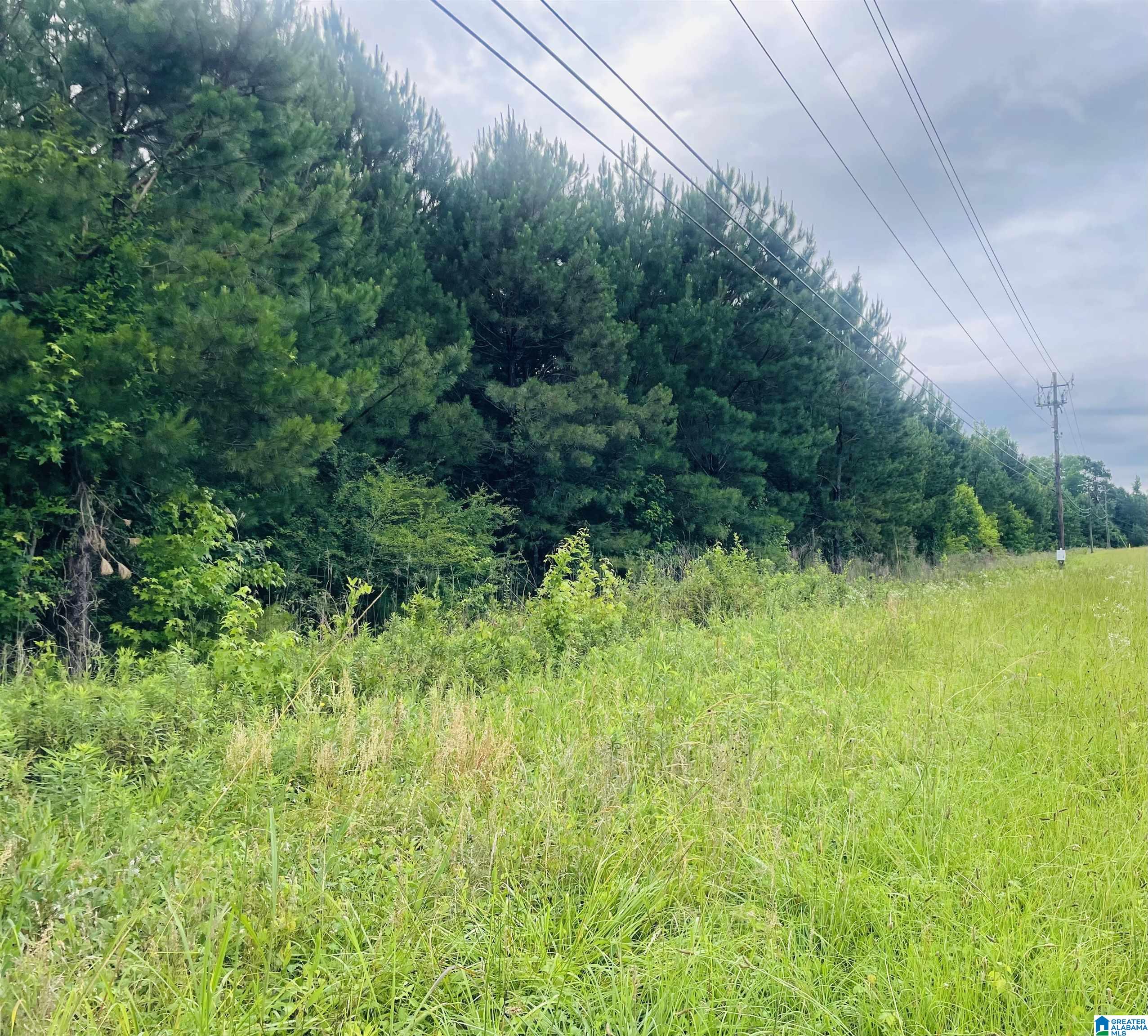 0 Highway 47, Unit 2 Chelsea, AL 35043 - Photo 5 of 19