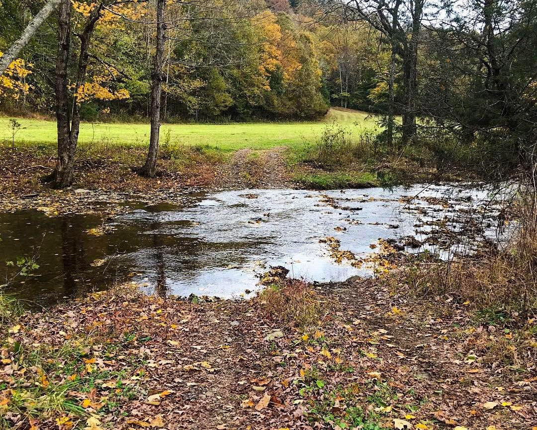 2229 Pointer Creek Road Science Hill, KY 42553 - Photo 13 of 16 Photo 13