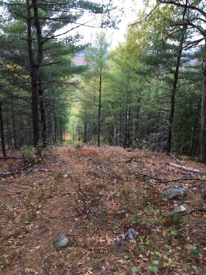 0 Potato Hole Road Brownfield, ME 04010 - Photo 3 of 6 Skitrail