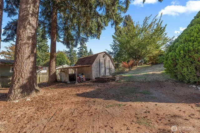 a view of a house with a yard and large tree