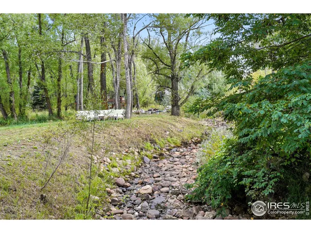 a view of a yard with plants and large trees