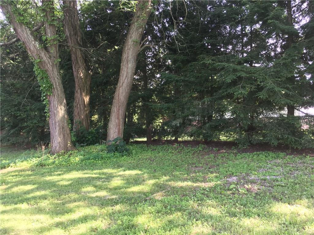 241 Alameda Road Butler, PA 16001 - Photo 18 of 24 Rear yard is tree lined and provides privacy from neighboring homes.