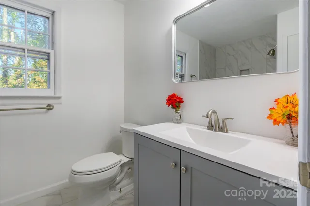 a bathroom with a sink and a toilet