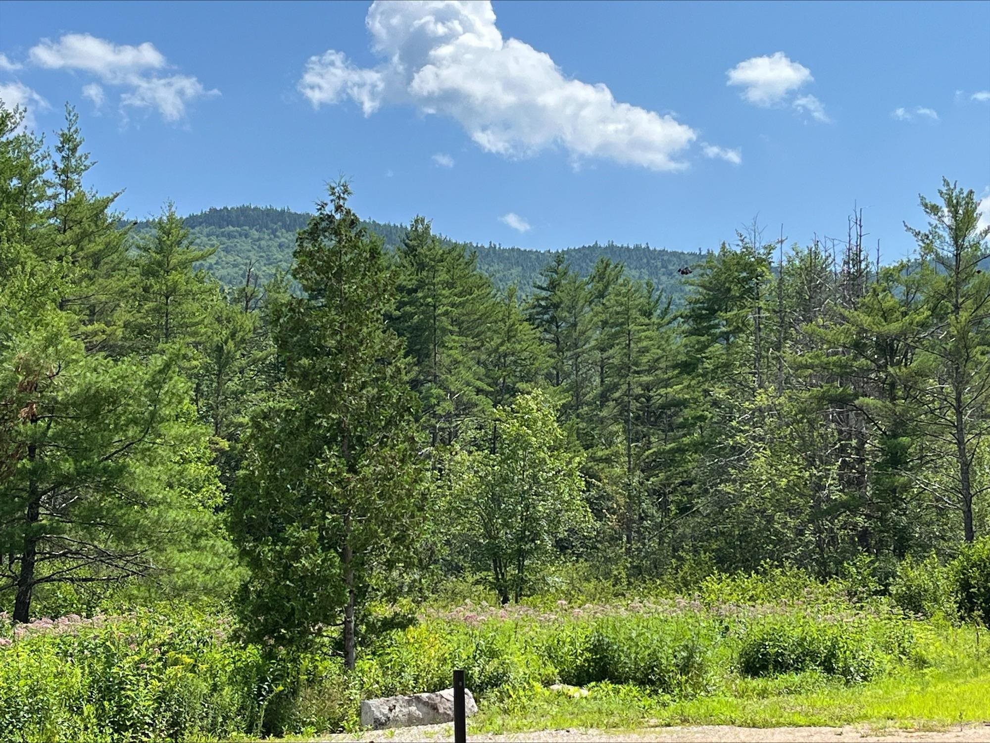 815 West Side Road North Conway, NH 03860 - Photo 4 of 41