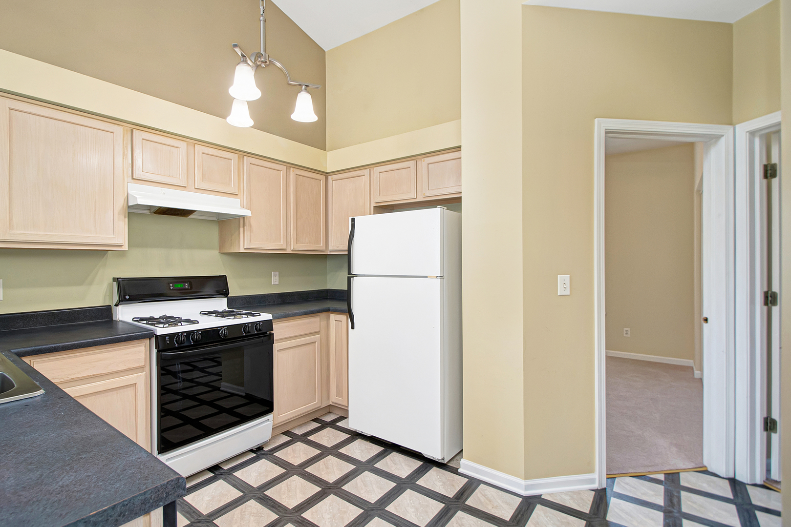 1738 Raleigh Trail Romeoville, IL 60446 - Photo 5 of 24