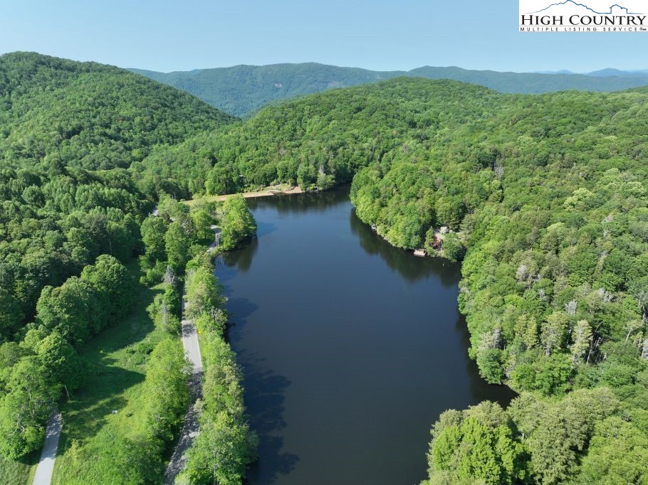 1762 Ripshin Mountain Road Roan Mountain, TN 37687 - Photo 17 of 21 an aerial view of a house with a yard