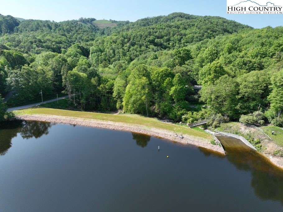 1762 Ripshin Mountain Road Roan Mountain, TN 37687 - Photo 18 of 21 a view of a swimming pool with a yard