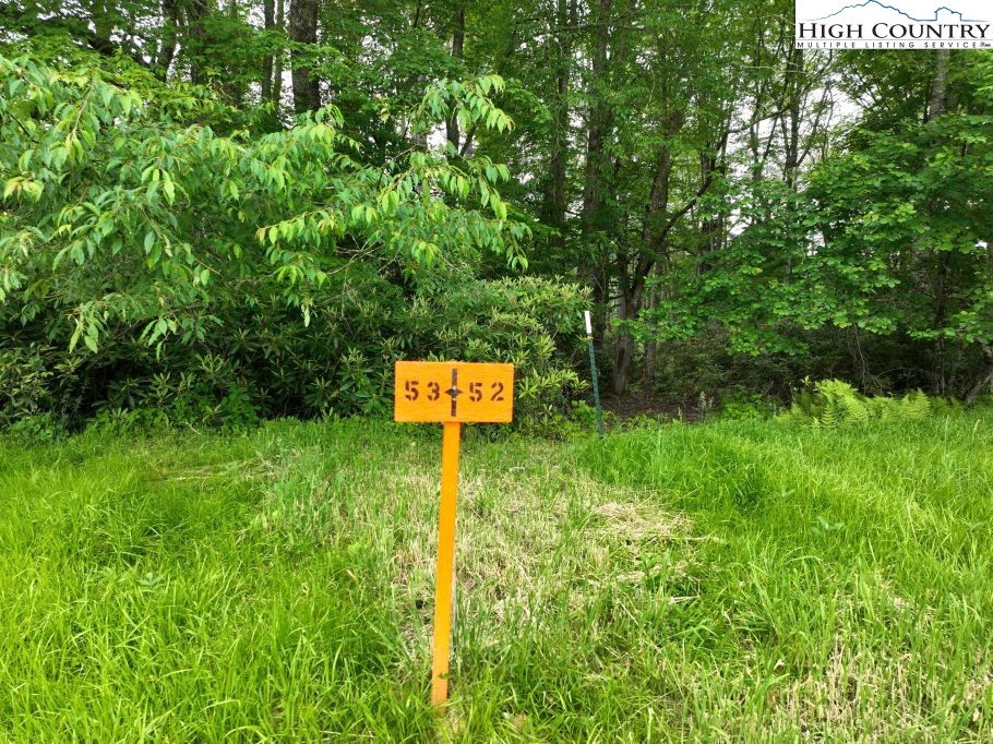 1762 Ripshin Mountain Road Roan Mountain, TN 37687 - Photo 2 of 21 a green field with lots of bushes