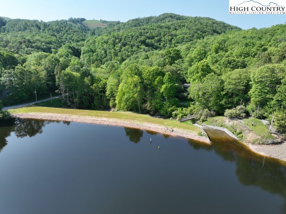 1762 Ripshin Mountain Road Roan Mountain, TN 37687 - Photo 3 of 21 a view of a swimming pool with a yard