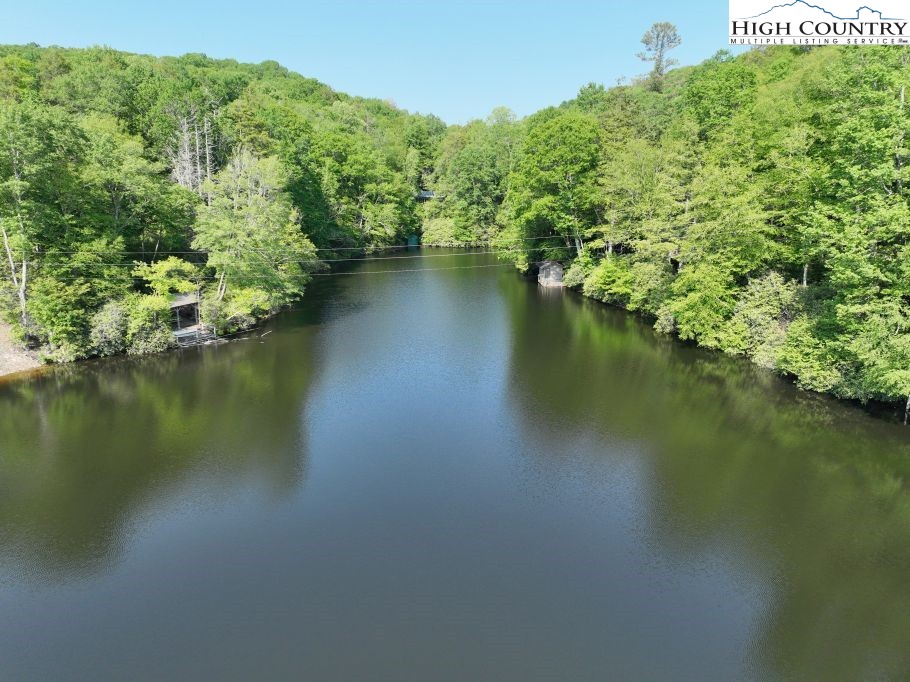 1762 Ripshin Mountain Road Roan Mountain, TN 37687 - Photo 4 of 21 a view of a lake with houses