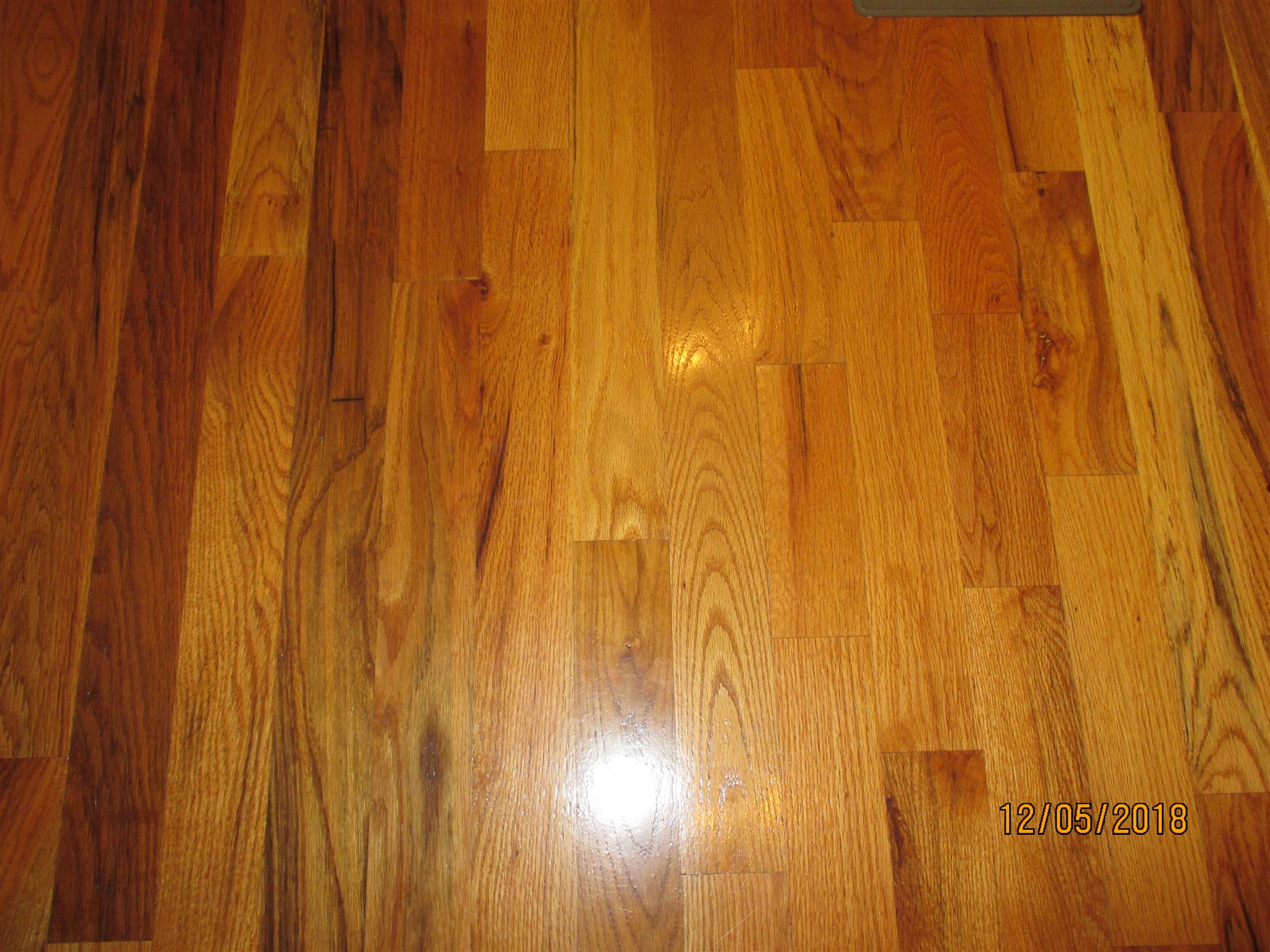 193 African Hollow Road Pulaski, TN 38478 - Photo 20 of 25 Gallery Image 20