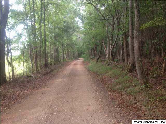 1900 Pepper Road, Unit 55 AC Ashland, AL 36251 - Photo 7 of 20