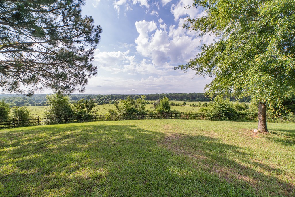 306 Powell Church Road Talbotton, GA 31827 - Photo 3 of 54 Gallery Image 3