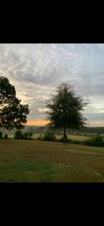 306 Powell Church Road Talbotton, GA 31827 - Photo 49 of 54 Gallery Image 49