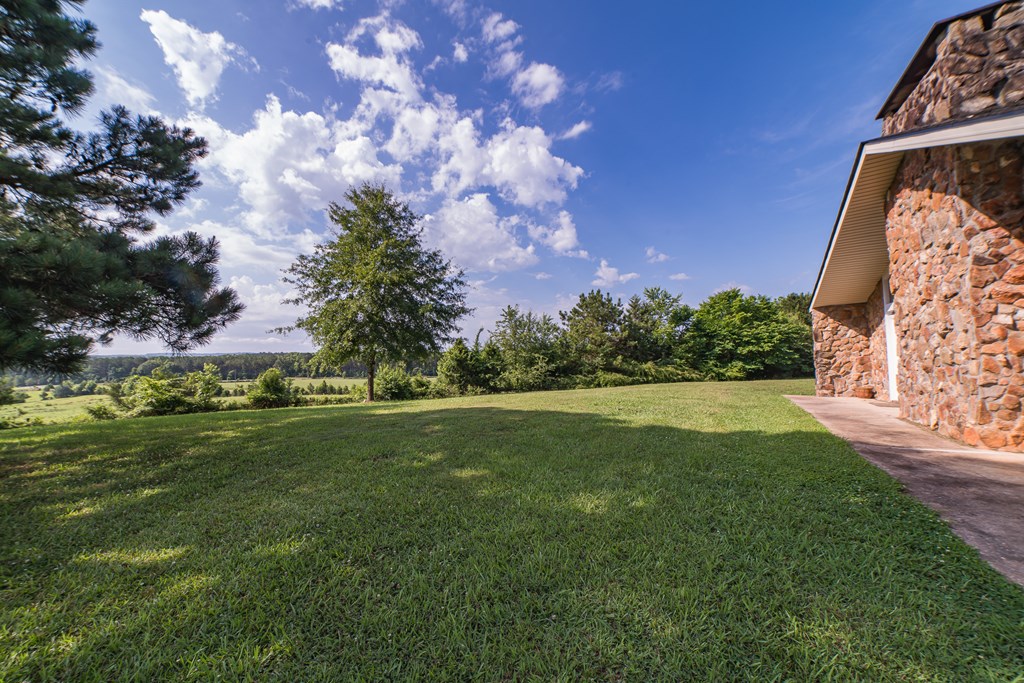 306 Powell Church Road Talbotton, GA 31827 - Photo 6 of 54 Gallery Image 6