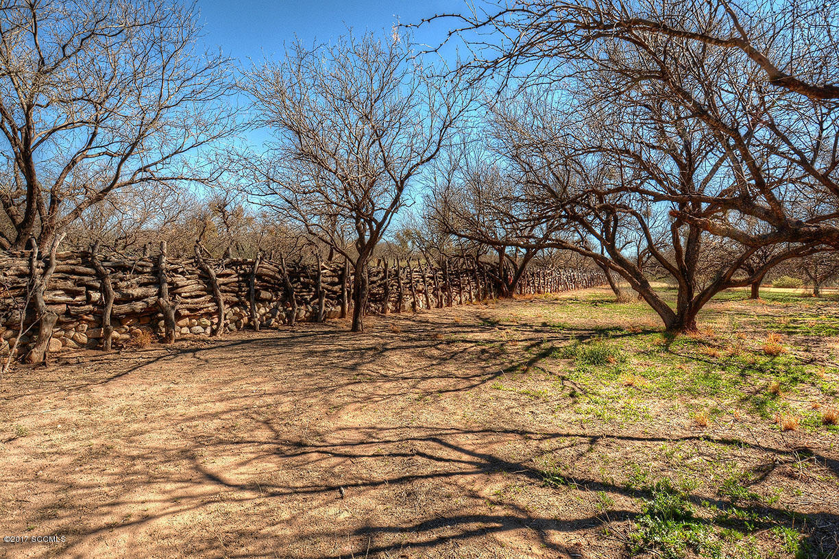 174 Bridge Road Tubac, AZ 85646 - Photo 27 of 28