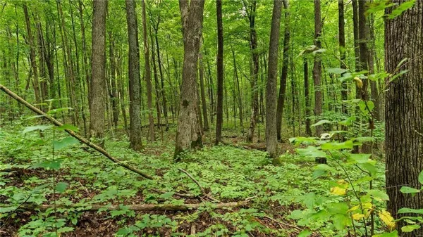 $892,240 | 1 Comet Road, Exeland, WI 54835