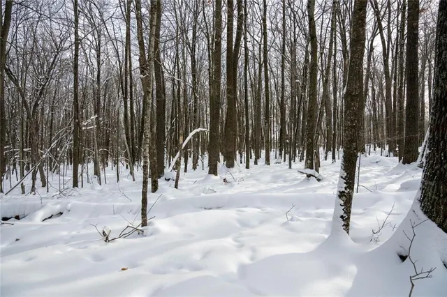 $892,240 | 1 Comet Road, Exeland, WI 54835