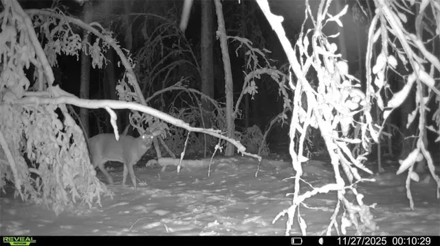 $892,240 | 1 Comet Road, Exeland, WI 54835