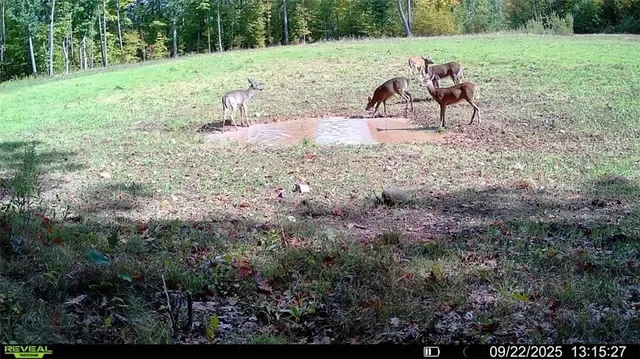 $892,240 | 1 Comet Road, Exeland, WI 54835