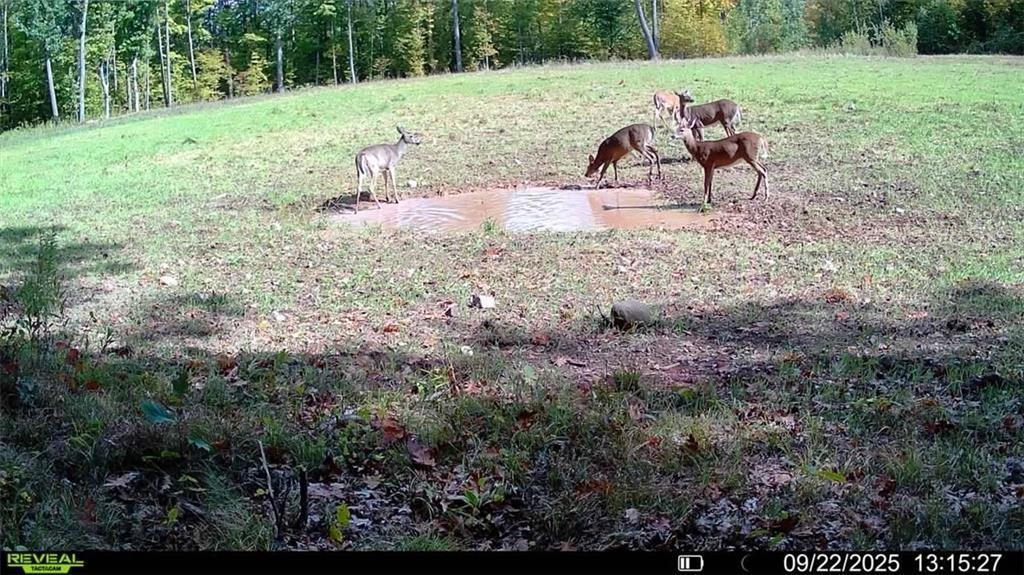 1 Comet Road Exeland, WI 54835 - Photo 21 of 31