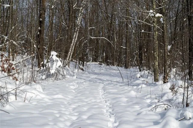 $892,240 | 1 Comet Road, Exeland, WI 54835