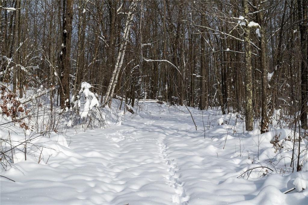 1 Comet Road Exeland, WI 54835 - Photo 9 of 31