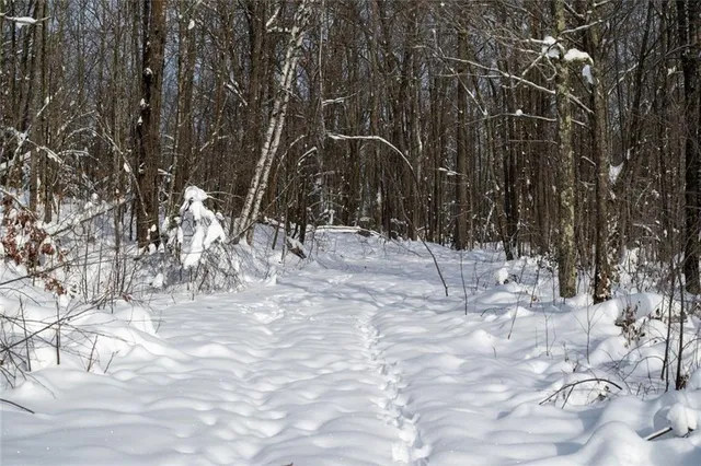 $892,240 | 1 Comet Road, Exeland, WI 54835