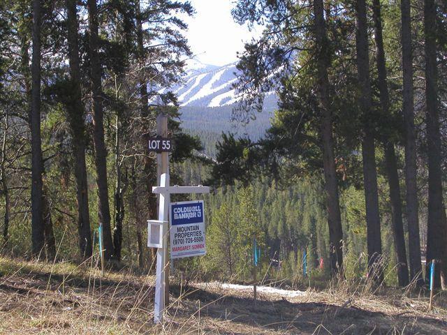 814 Cozens Ridge Fraser, CO 80442 - Photo 3 of 3 View