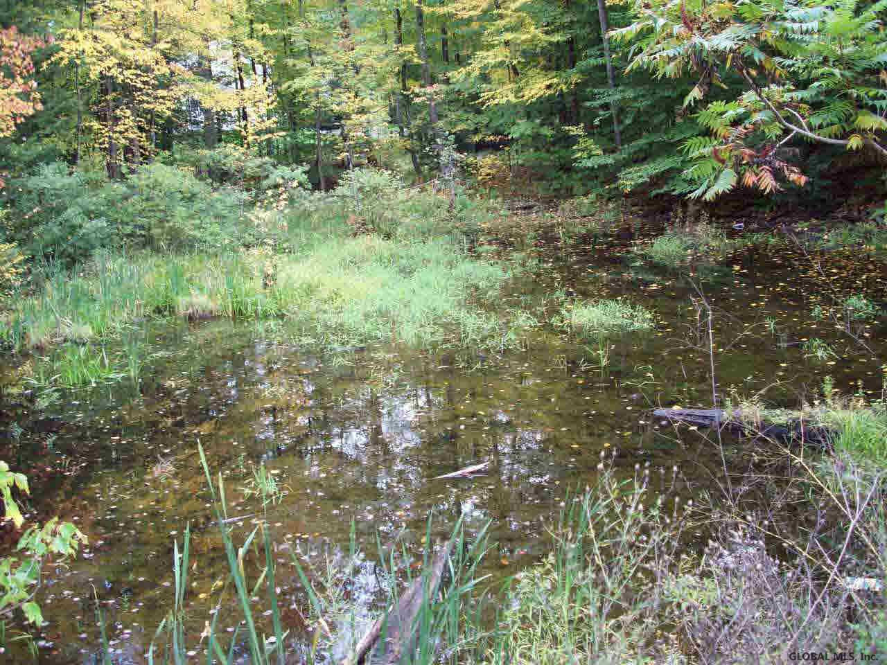 855 Locust Grove Road Greenfield, NY 12833 - Photo 8 of 9 Photo 8